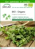 SAFLAX  -- Origano - 1500 semi - Con substrato - Origanum Anteprima dell’immagine prodotto 1