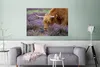 MuchoWow® Poster Schottisches Hochlandrind - Lavendel - Produktbild-Vorschau 5