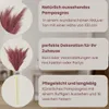 Layba Pampová tráva dekorace v barvě Mauve Boho umělá Náhled obrázku produktu 4