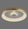 LED Deckenleuchte, messing, dimmbar, Fernbedienung, H 9,5 Produktbild-Vorschau 2