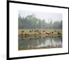 MuchoWow® Gerahmtes Poster Weidende Tiere am Wasser im Produktbild-Vorschau 1