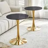 STILVORA bijzettafel, rond, 60 cm diameter, met een zwarte Productafbeelding-voorbeeld 3