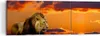 Bild auf Leinwand - Leinwandbild - Löwe Sonne Landschaft - Produktbild-Vorschau 1
