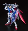 Modellbausatz MG 1/100 Destiny Gundam Special Edition Podgląd zdjęcia produktu 5