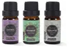 SensaHome: Set de 14 aceites esenciales – 100% puros y Vista previa de la imagen del producto 4