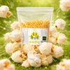 Mushroom PLUS Popcornová kukurica 1 kg – bez GMO Náhľad obrázku produktu 8