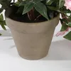 Mica Decorations Künstliche Pflanze Petunia - 50x45x25 cm - Produktbild-Vorschau 4