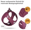 CURLI Postroj pro psy se sponou Air-Mesh Ruby S, 4-7 kg Náhled obrázku produktu 14