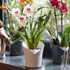 LECHUZA Planter ORCHID ALL-IN-ONE Matt white Anteprima dell’immagine prodotto 18