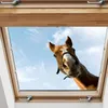 GKA Fenstergucker Fensterbild lustiges und neugieriges Produktbild-Vorschau 2