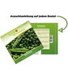 Markerbsen Bördi Samen - Pisum sativum - Erbsensamen - Produktbild-Vorschau 3