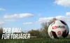 alpas Trainingsball TORJÄGER Gr. 5 Produktbild-Vorschau 3
