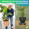 TolleTour WPC Pflanzenroller, für außen & innen, Produktbild-Vorschau 6