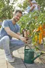 Substral  Obst- & Gemüseduenger 1.0 l Produktbild-Vorschau 8