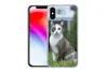 MuchoWow® Handyhülle Schutzhülle Hülle für iPhone X Katze - Produktbild-Vorschau 2