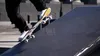 Session: Skate Sim Produktbild-Vorschau 13