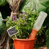 A plant in a pot with a watering device and a small sign. Produktbild-Vorschau