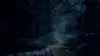 Spiel Resident Evil 4 Remake Standard Ed. (PS5) Produktbild-Vorschau 4