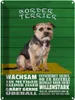 vianmo Blechschild 40x30 cm Border Terrier Hund wachsam Produktbild-Vorschau 1