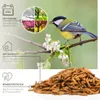 wildtier liebe Edel Soldatenfliegenlarven getrocknet 5L I Produktbild-Vorschau 2
