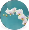 MuchoWow® Aluminium Wandkreis Orchidee - Blumen - Pflanze - Produktbild-Vorschau 1