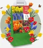 Blumenzwiebelmischung - 125 Stk - Tulipa, Anem. Narcis. Produktbild-Vorschau 5