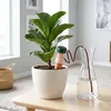 Spetebo - Vasi da interno in terracotta da 10 cm con tubo Anteprima dell’immagine prodotto 7