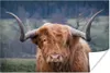 MuchoWow® Poster Schottisches Hochlandrind - Hörner - Berg Produktbild-Vorschau 1