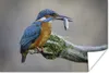 MuchoWow® Poster Eisvogel - Fisch - Tier 90x60 cm - Produktbild-Vorschau 1