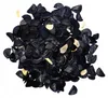 Semená Agave Kerchovei - balenie 5 ks - Exotické semená - Náhľad obrázku produktu 2