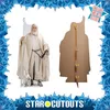 Gandalf di cartone del Signore degli Anelli Anteprima dell’immagine prodotto 4
