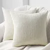 Topfinel Kissenbezug 40x40 Creme Kordsamt 2er Set Produktbild-Vorschau 1