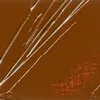 Pebeo Studio XL Ölfarbe, 200 ml, 21 Raw Sienna Produktbild-Vorschau 1