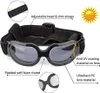 mall Hundebrille, UV-Schutz, verstellbar, transparent, für Produktbild-Vorschau 5