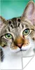 MuchoWow® Poster Katze - Porträt - Augen 60x120 cm - Produktbild-Vorschau 1