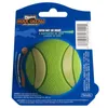 Chuckit! Dog Hračka Max Glow Ultra Squeaker M 6cm Náhľad obrázku produktu 3