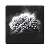 MuchoWow® Mauspad Mousepad Rosen - Blumen - Licht - Schwarz Produktbild-Vorschau 1