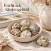 Turbanschnecken in Schale auf Leinen als Stück Küstengefühl Produktbild-Vorschau