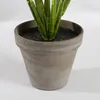 Mica Decorations Evergreen Kunstpflanze - H49 x Ø40 cm - Produktbild-Vorschau 4