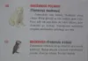 Zoologický glóbus se zvířaty 22 cm Náhled obrázku produktu 13