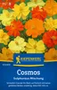 Kiepenkerl Cosmossamen Sulphureus Cosmos sulphureus 30 Produktbild-Vorschau 3