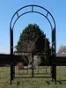 ALEOS. Eleganter XXL Rosenbogen Rankhilfe Pergola mit Tür Produktbild-Vorschau 4