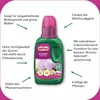 Substral Orchideen Nahrung, 250 ml Produktbild-Vorschau 4