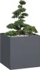 vidaXL Bac à plantes anthracite 80x80x80 cm Acier Voir les images du produit 2