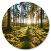 Sticker Kreis BÄUME Wald Sonnenstrahlen Pflanzen Natur Grün Produktbild-Vorschau 1