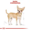 Royal Canin Chihuahua Adult, Adult, Chihuahua, Mini (≤4 Produktbild-Vorschau 5