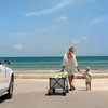 Kinderkraft ROLLSTER prepravný vozík skladací, terénny, do Náhľad obrázku produktu 6