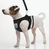 A small dog wearing a black harness with reflective stripes and a leash attached, standing against a white background. Podgląd zdjęcia produktu