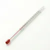 Glas Thermometer -20 bis 110°C 30cm zum Einkochen Produktbild-Vorschau 1