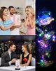 Ewige Rose in Glas mit LED-Beleuchtung, Romantiches Produktbild-Vorschau 3